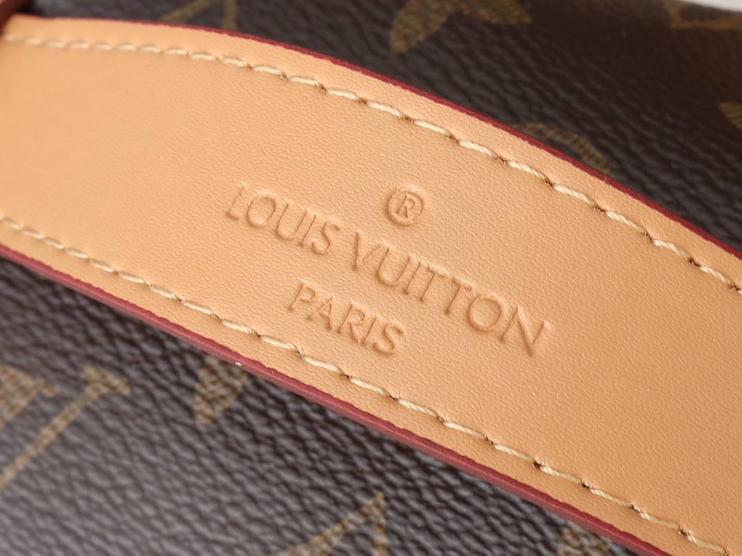 Louis Vuitton Rush BumBag Monogram