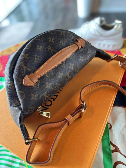 Louis Vuitton Rush BumBag Monogram