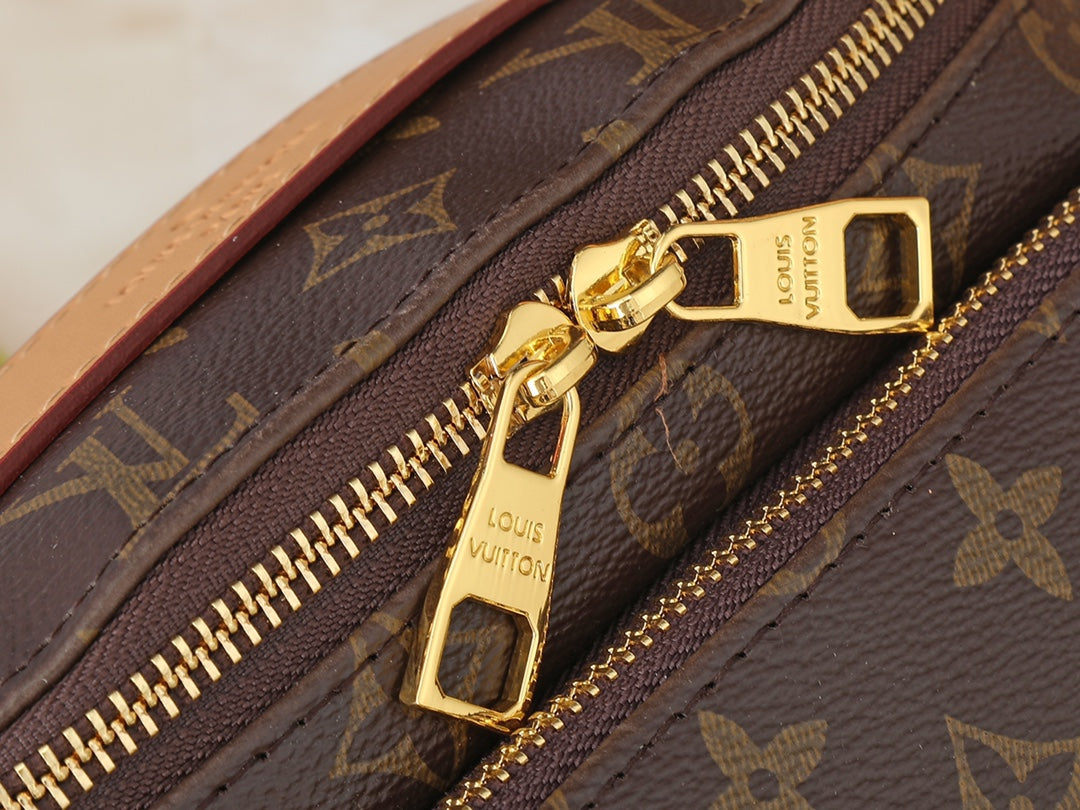 Louis Vuitton Rush BumBag Monogram