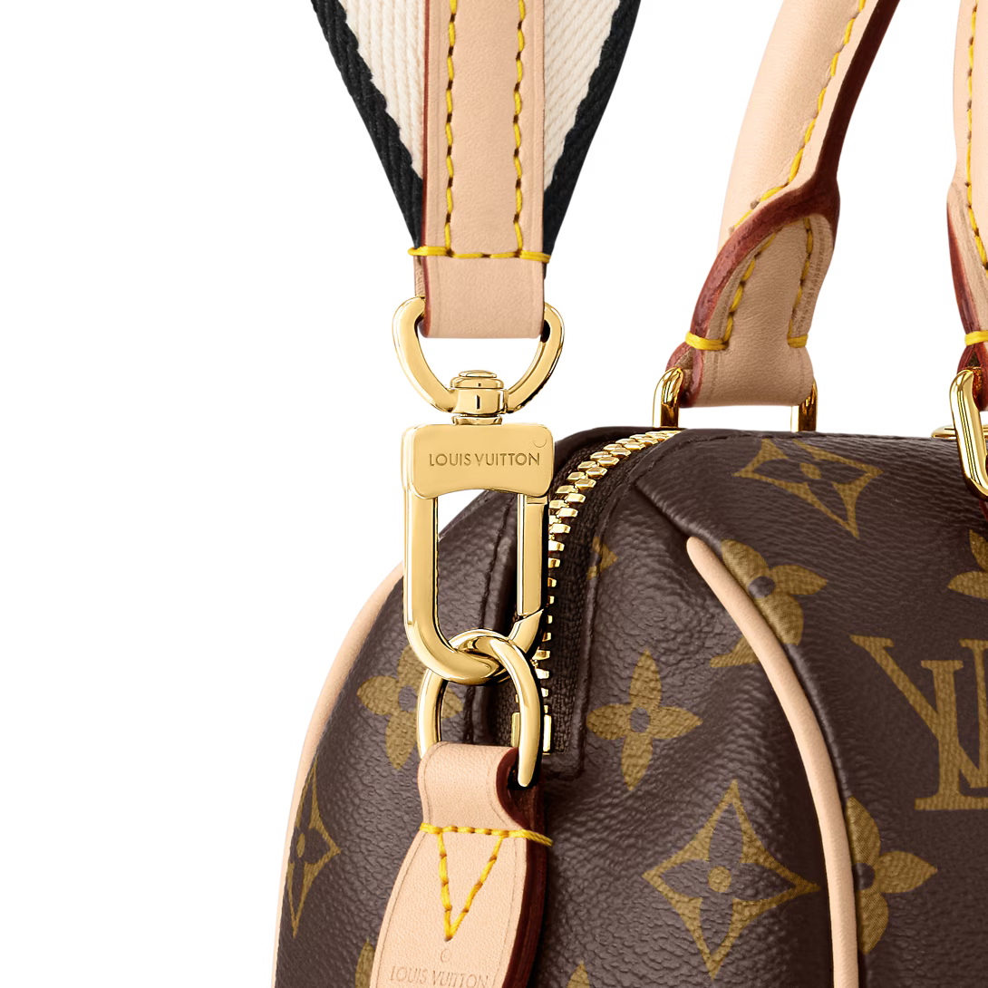Louis Vuitton Speedy Bandoulière 20 Bag