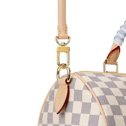 Louis Vuitton Speedy Bandoulière Limited Edition